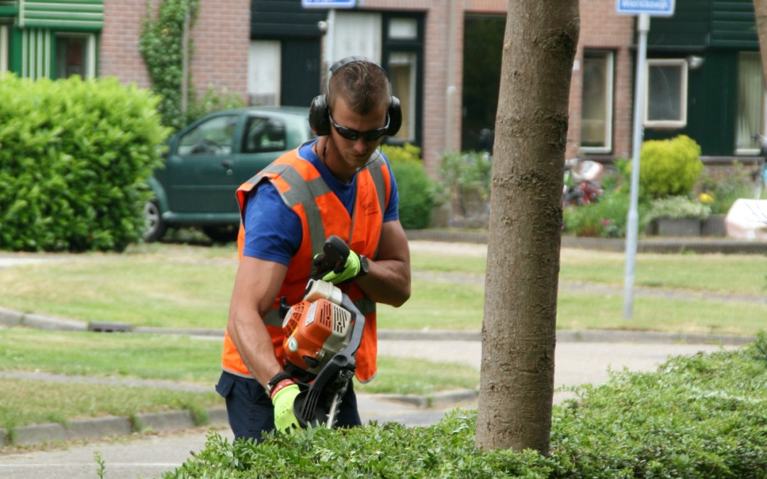 Snoeien in Leusden