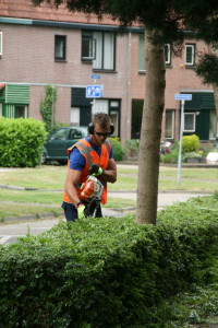 SIGHT in actie