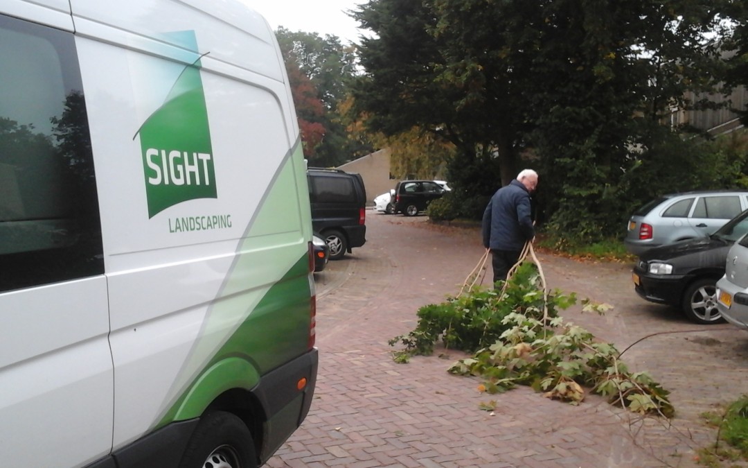 Vele handen maken licht werk