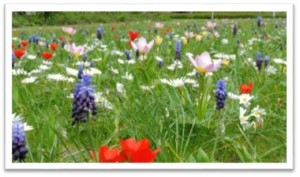 bloemenmengsel