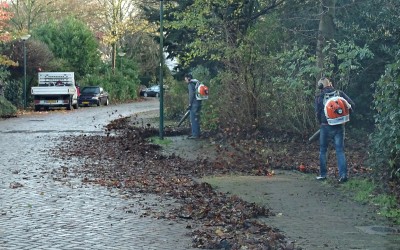 Bladblaasactie in Alandsbeek