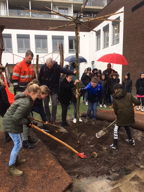 Nationale boomplantdag 2020