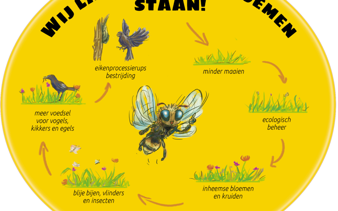 Ecologisch beheer